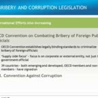 Addressing-the-Risks--International-Bribery--Corruption-Laws_HIGH-5.compressed-compressed1b49576a7eb63fa0
