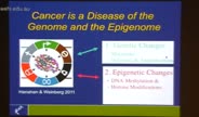 CANCER-GENETICS-PT3-compressed-1a.mp4