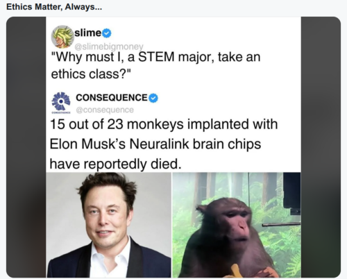 The-Murderer-Elon-Monkey-Musk.png