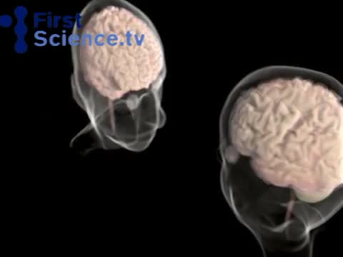 The-difference-between-men-and-womens-brains.mp4
