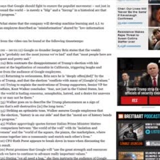 GOOGLE-RIGS-ELECTIONS-FOR-LIBS-compressed