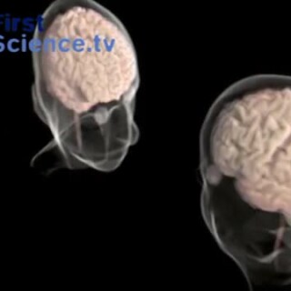 The-difference-between-men-and-womens-brains